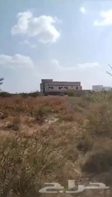 مطلوب اراضي للبيع مخططات ابوعريش فلس و راح القحمة كم ماعندك 2
