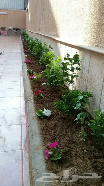 تنسيق حدائق جده و مكه 6