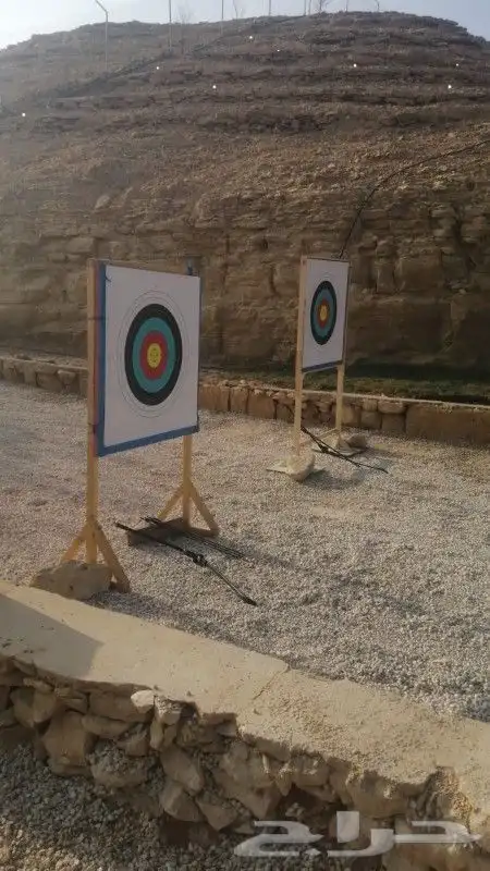 تاجير بلوت 1