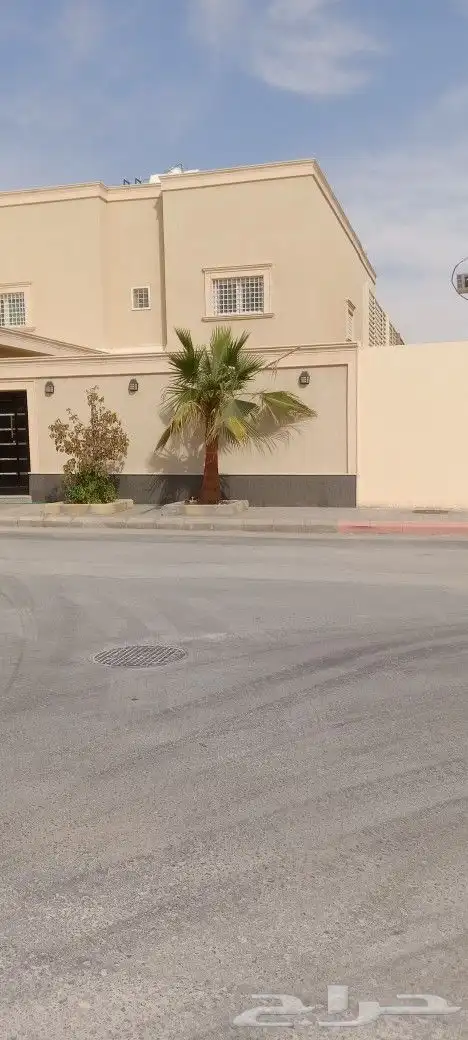 مقاول أشجار زينه ونخيل 1