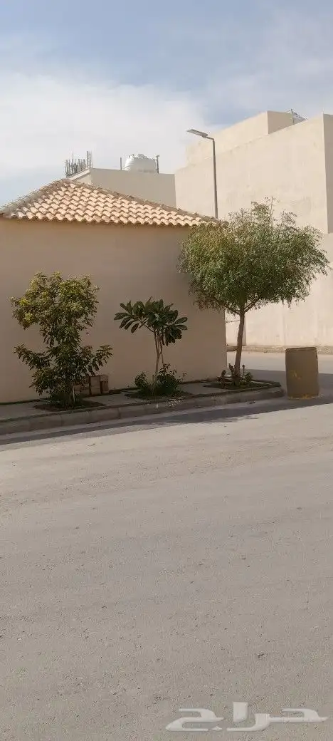 مقاول أشجار زينه ونخيل 2