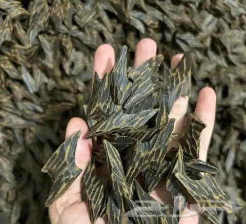 عود تايقر فاخر بيور 0