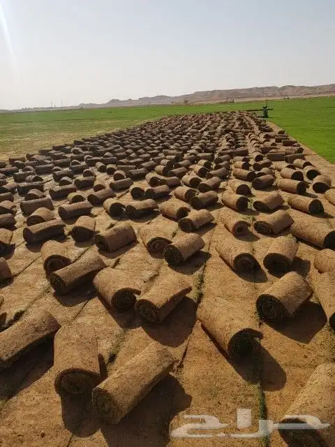 ثيل طبيعي صافي ونقي مزراع العثمان الخرج 0