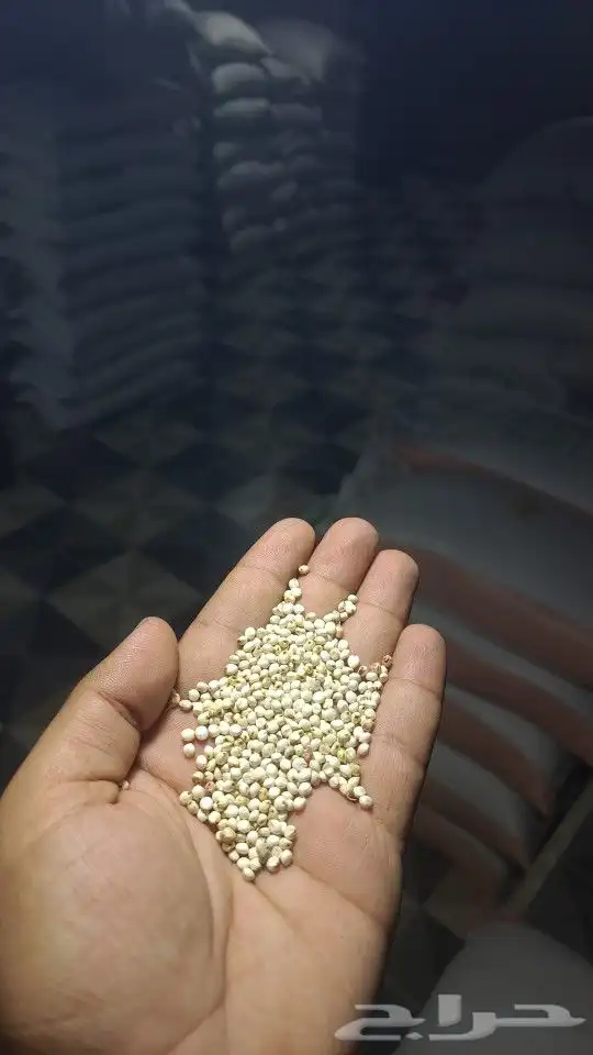 ذره بيضا يمني سعر 180..50ك 0