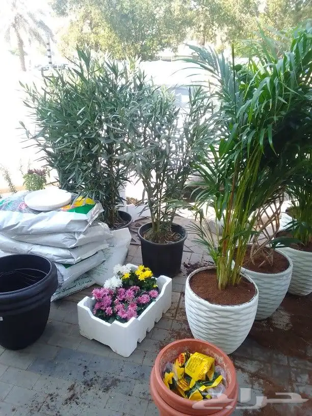 تنسيق حدائق وزراعة 1