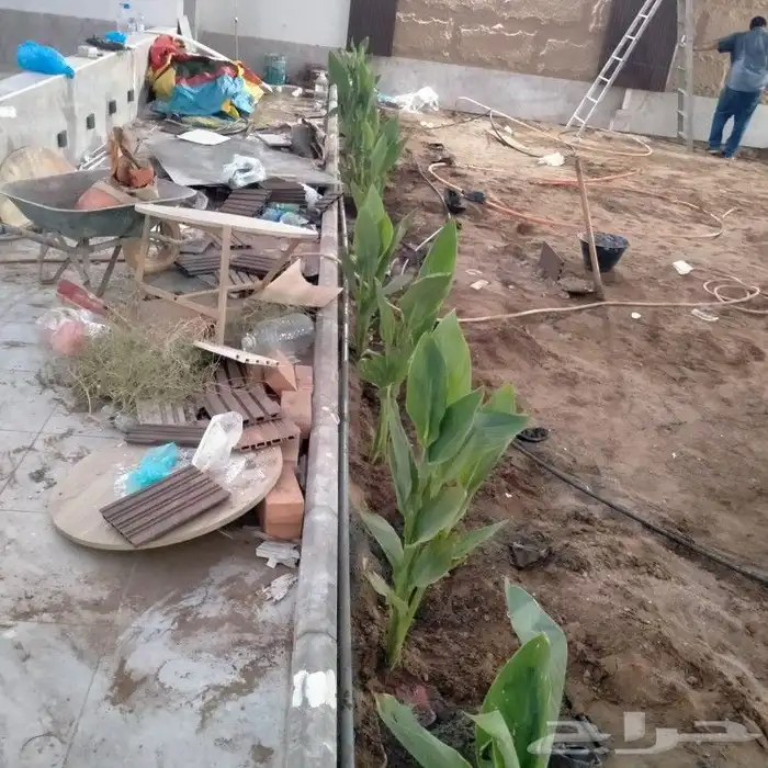 تنسيق حدائق جده و مكه 9