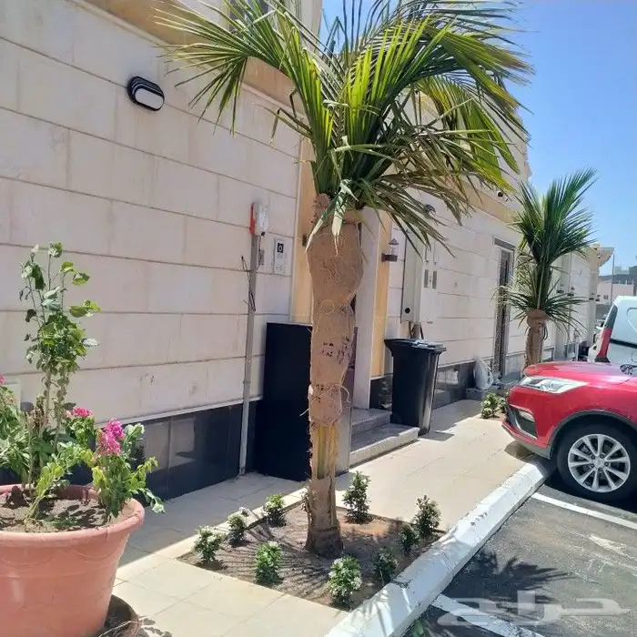 تنسيق حدائق جده و مكه 3