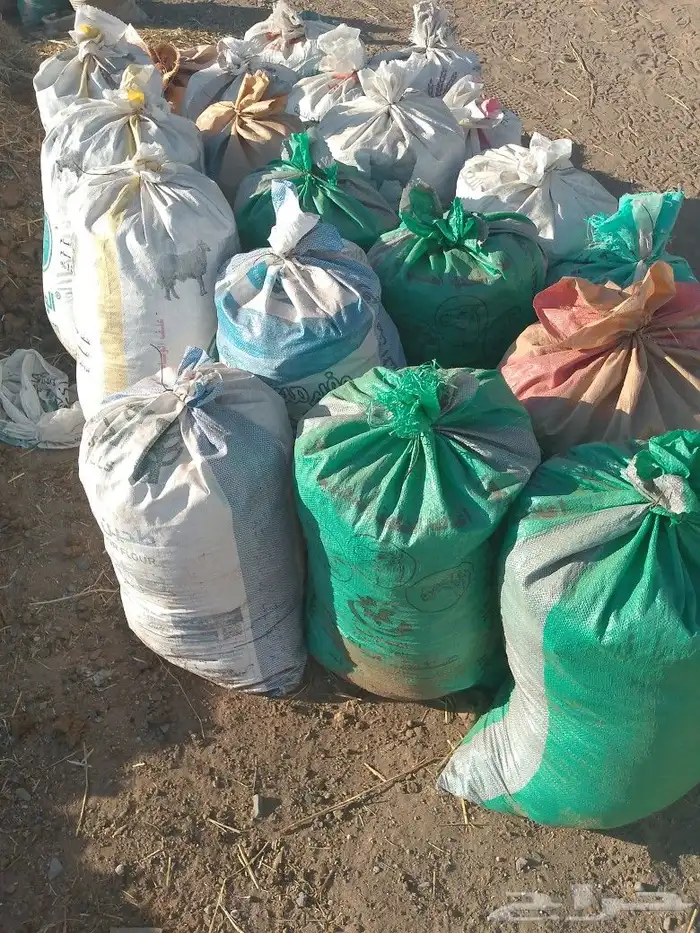 دمن بقر سماد عضوي 2