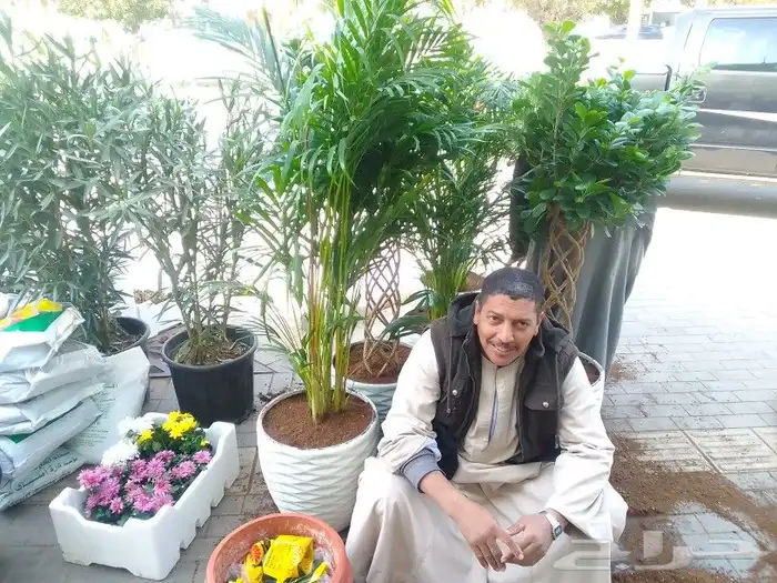 تنسيق حدائق وزراعة 4