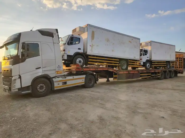 لوبد متواجد في حفرالباطن البطانية ام الجماجم 1