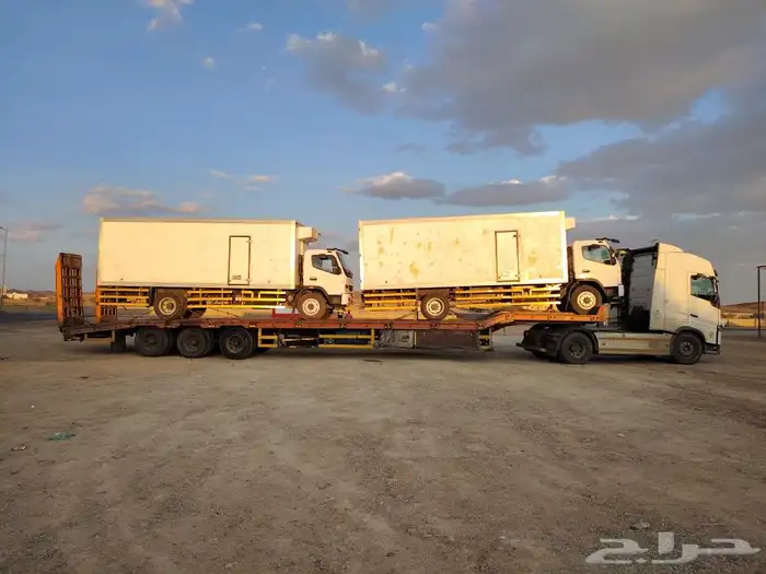 لوبد متواجد في حفرالباطن البطانية ام الجماجم 0