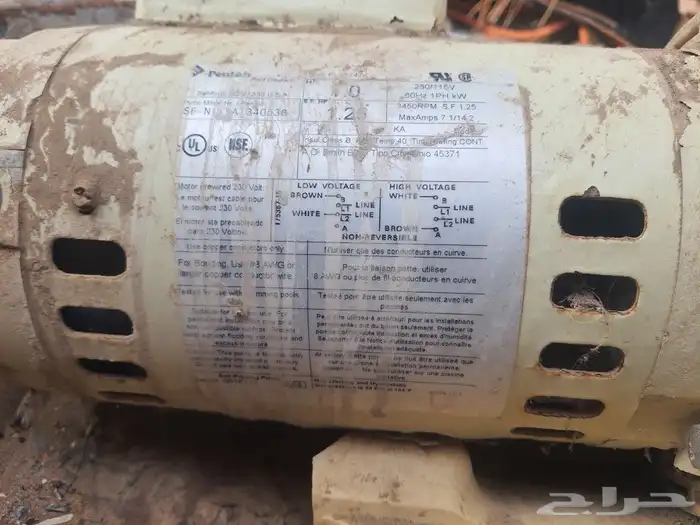 ماطور مسبح امريكي 1