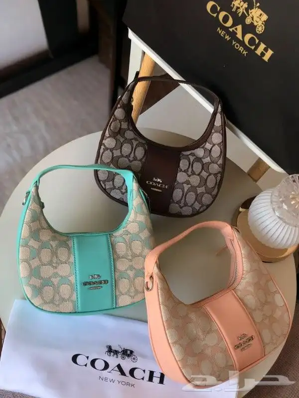 جملة وقطاعي 3