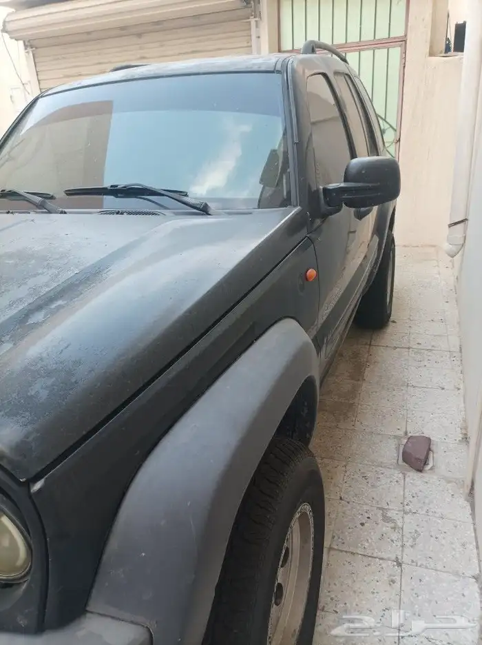 جيب ليبرتي اوتوماتيك دبل 2004 لوحة مميزة 3