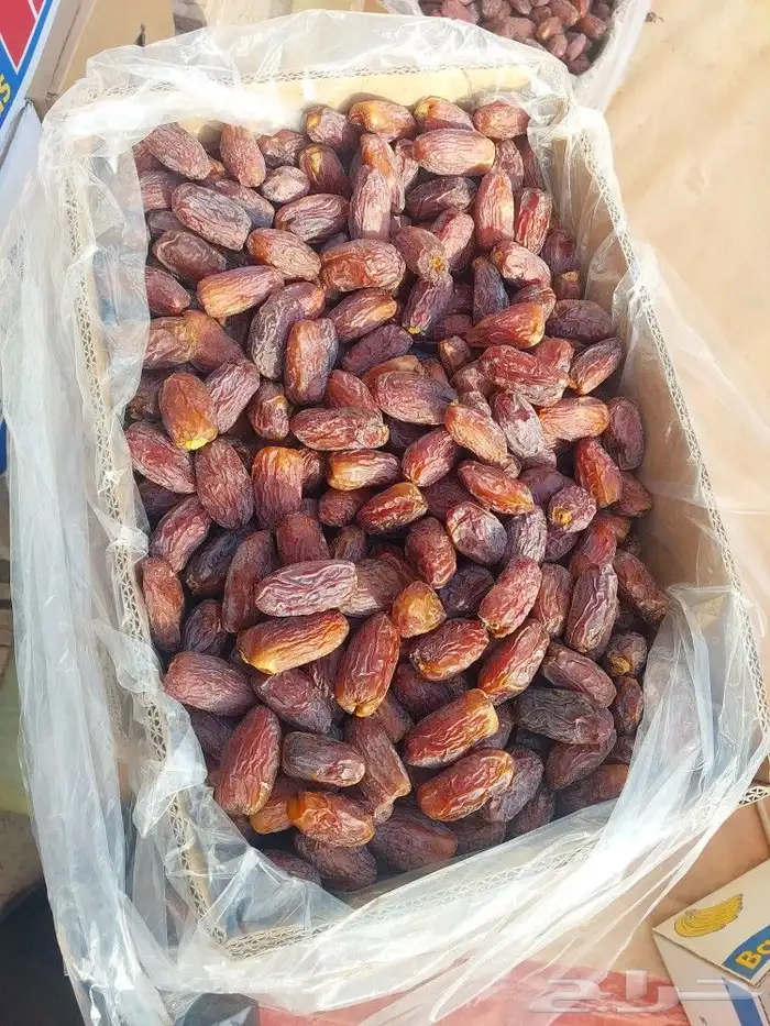 جميع انواع اتمور 3