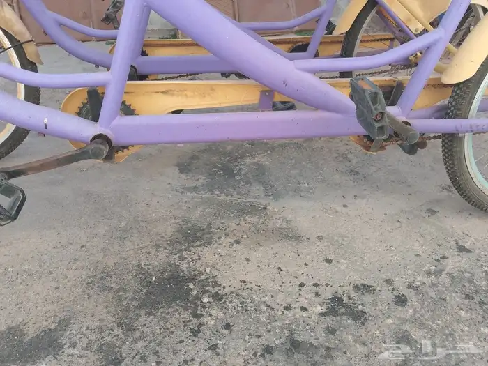 رقم الجوال 3