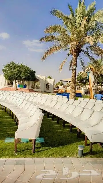 منسق فاعليات وموتمرات 7