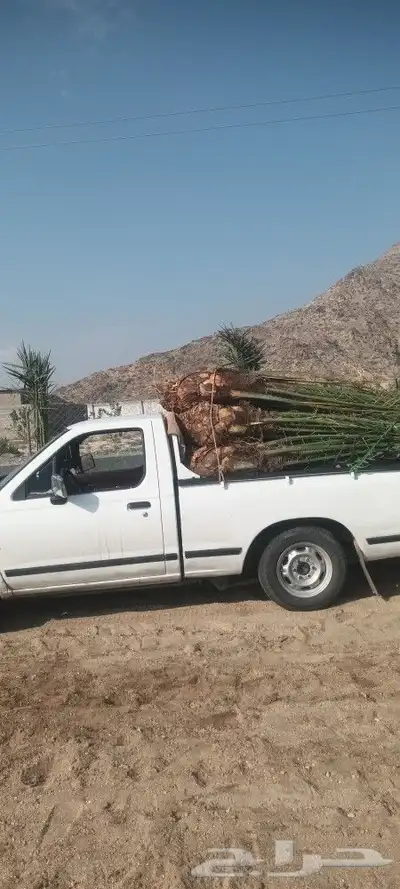يوجد لدينا جميع انواع انخيل 1