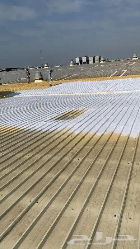 مقاول سفري فول مع مواد بدون مواد 0