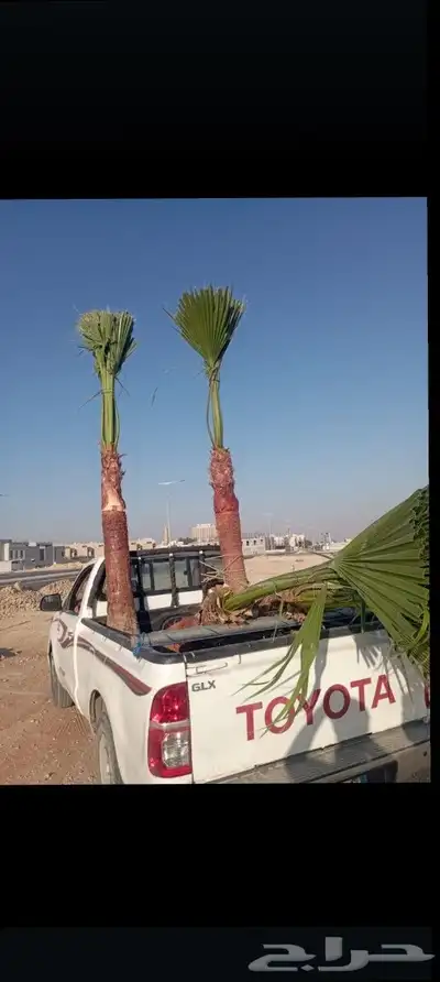 يوجد لدينا جميع انواع انخيل 9