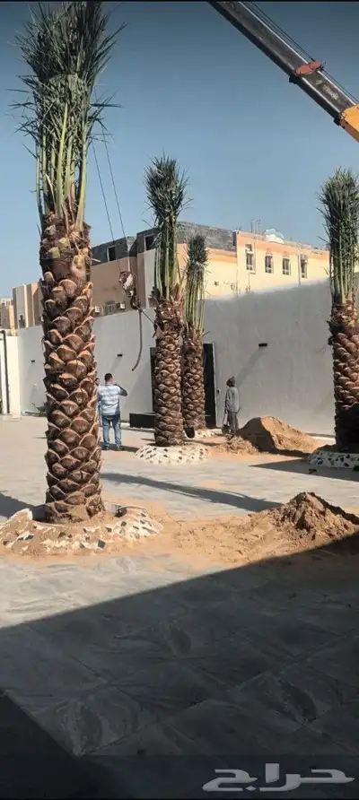 يوجد لدينا جميع انواع انخيل 5