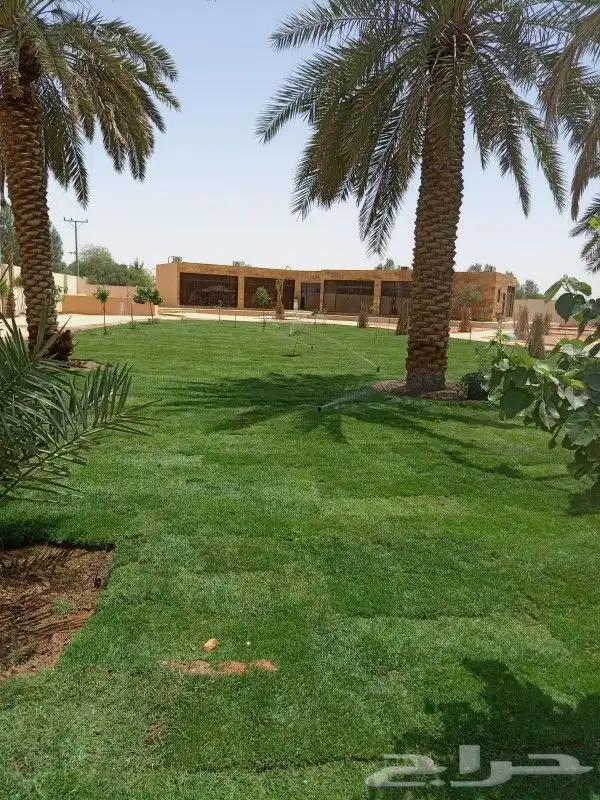 تركيب ثيل طبيعي 2