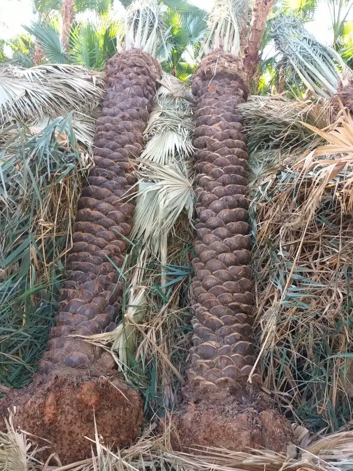 تسوير الاراضي والمزارع بالشبك 9