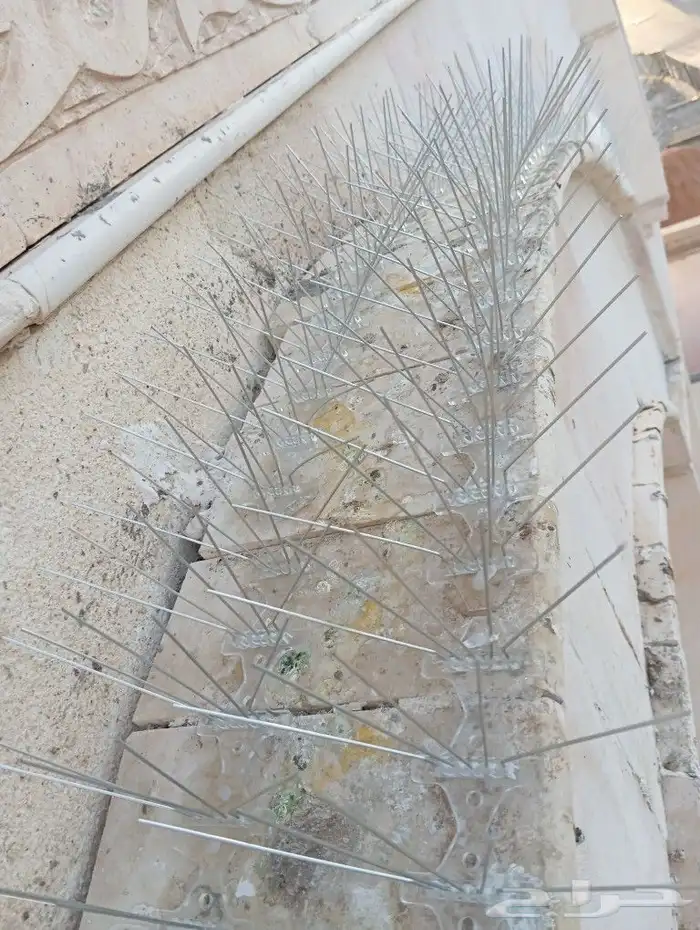 شركه طرد الحمام الشوك غطا مكيف ه صندؤق شفاط المروه شباك 2
