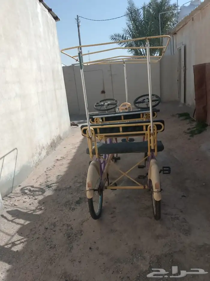 رقم الجوال 5