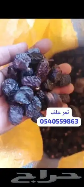 خبز و تمر و سمسم للحلال 5