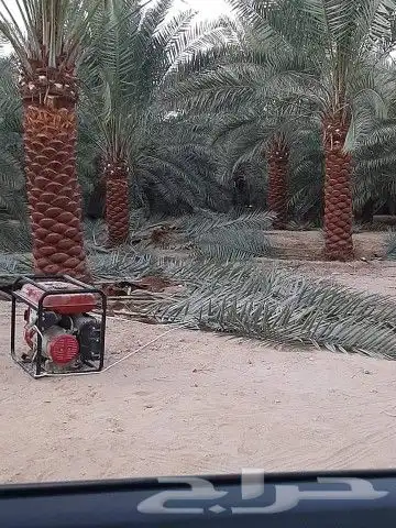 مقاول شبوك ونخيل الرياض 4