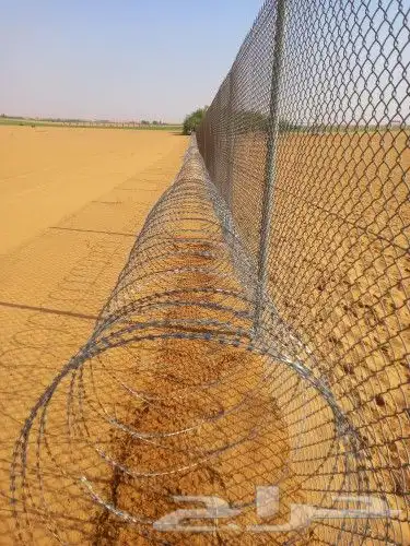 تركيب شبوك وزراعة نخيل 2