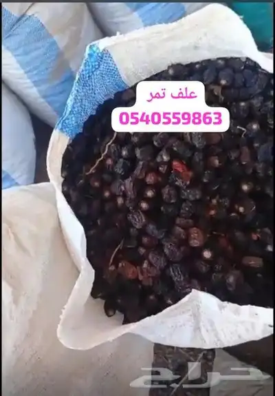 خبز و تمر و سمسم للحلال 4