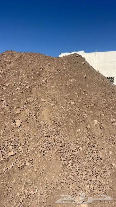 دفان صبيص رقم 1 0