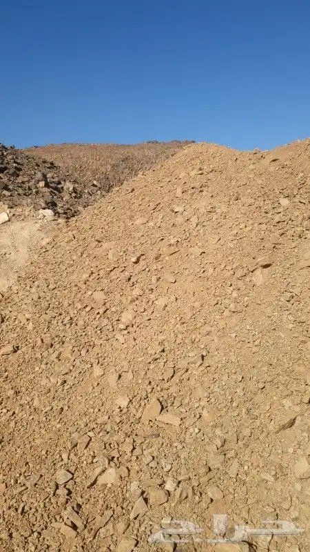 دفان صبيص رقم 1 1