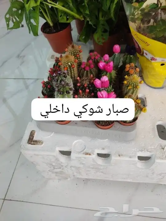 تنسيق حدائق عشب صناعي وبديل الخشب والإضاءة وعشب طبيعي واشجار 4