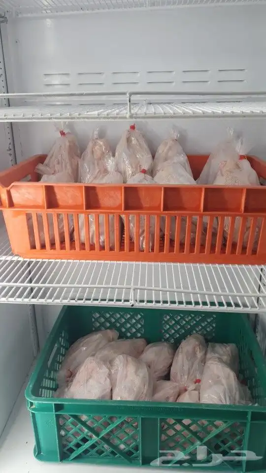 بط بكيني مذبوح مبرد 4