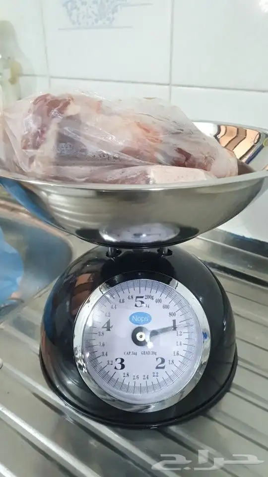 بط بكيني مذبوح مبرد 2