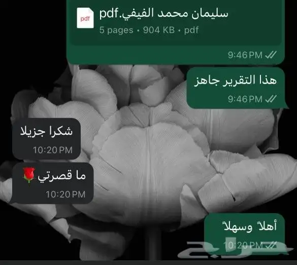 ترجمة معتمدة 3