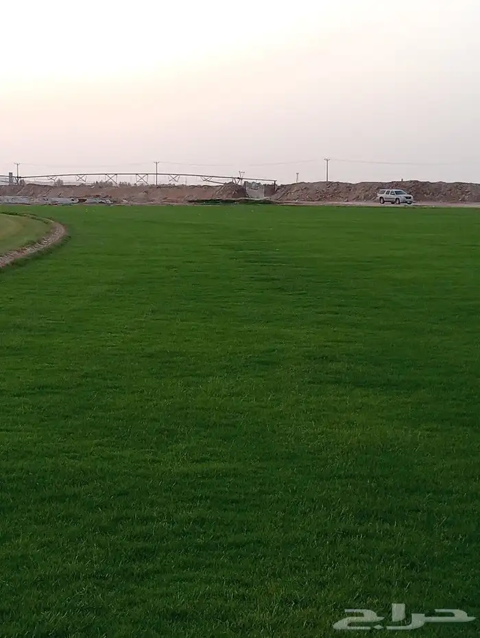 ثيل سئ 2000صافي وطبيعي الموقع الخرج 5