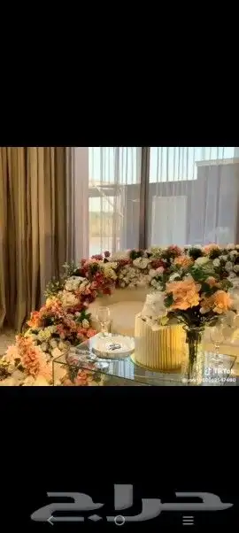 كوشات_الجوف  الجوف  صوير_هديب_الرفيعه_اللقايط_زلوم_اللقائط_ 4