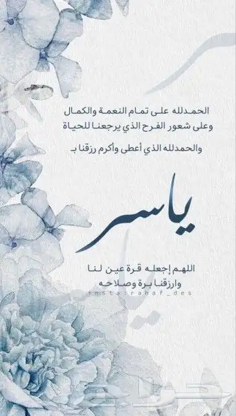بشارة مولود 6