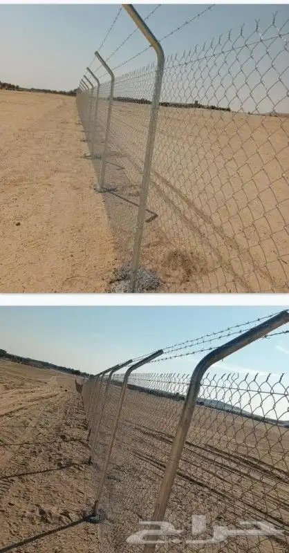 تركيب الشبوك وزراعة النخيل بانواعه 3