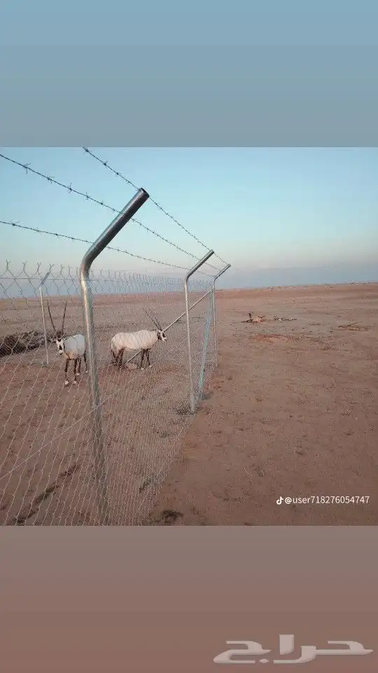 نعمل في تشبيك انوع اشبوك 3