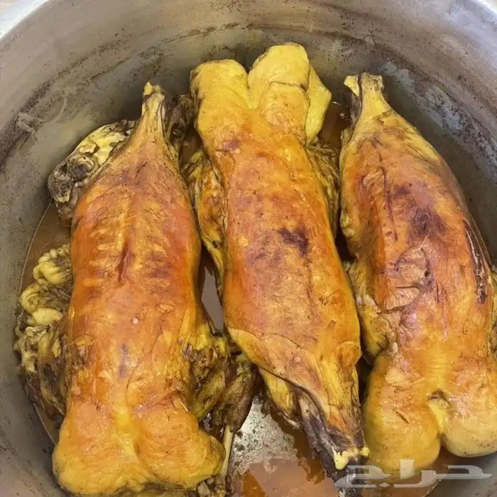 طباخ متنقل طبخ شعبي ايدام جريش قرصان مندي حنيذ 3