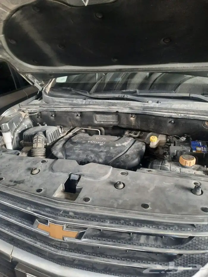 مكاين اكتيفيا 2023 1