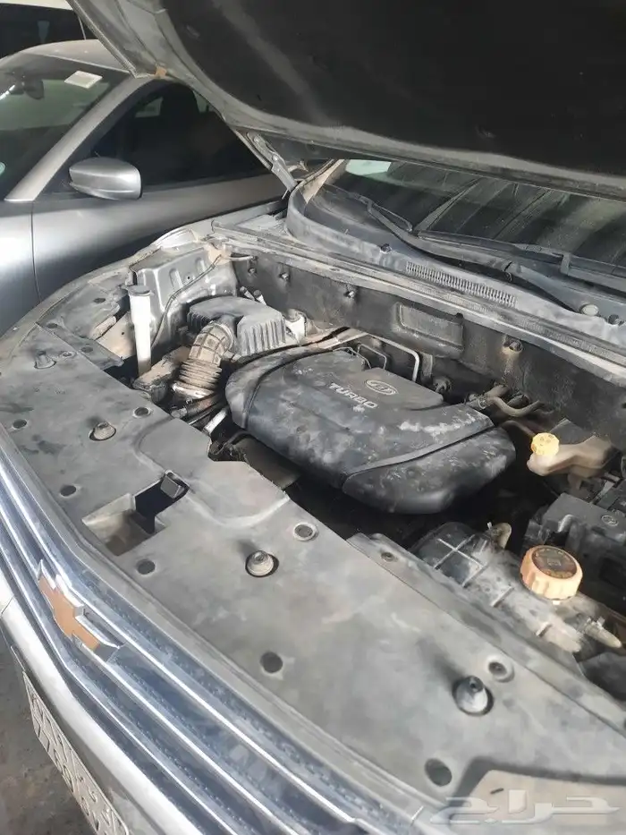 مكاين اكتيفيا 2023 2