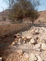 اعمال الشبوك وأعمال التراث القديمة ترميم تنفيذ معا المواد 4