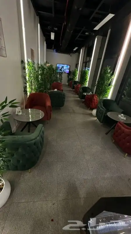 كراسي كوفي ولاونج كافيه 5