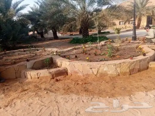اعمال الشبوك وأعمال التراث القديمة ترميم تنفيذ معا المواد 1